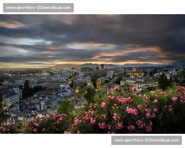 日本国门平尾知佳加盟西女超格拉纳达 开启留洋新征程